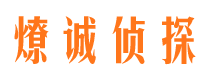 镇安市婚外情调查